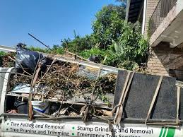 Best Residential Junk Removal  in Frostburg, MD
